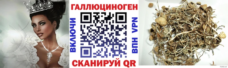 Купить  Амурск  Псилоцибиновые грибы ЛСД 